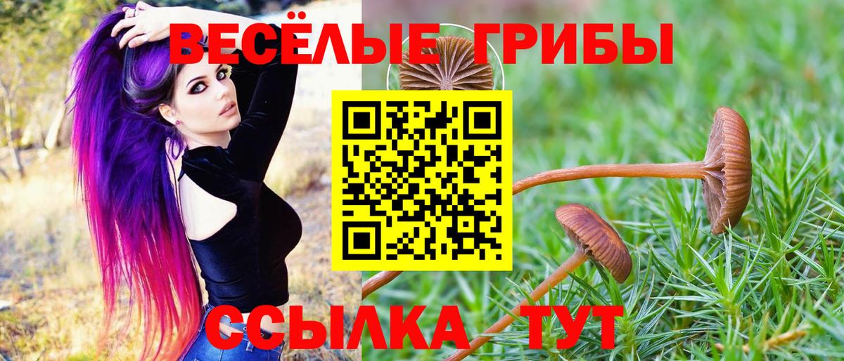 Старая Русса  Псилоцибиновые грибы ЛСД  Вход с VPN 