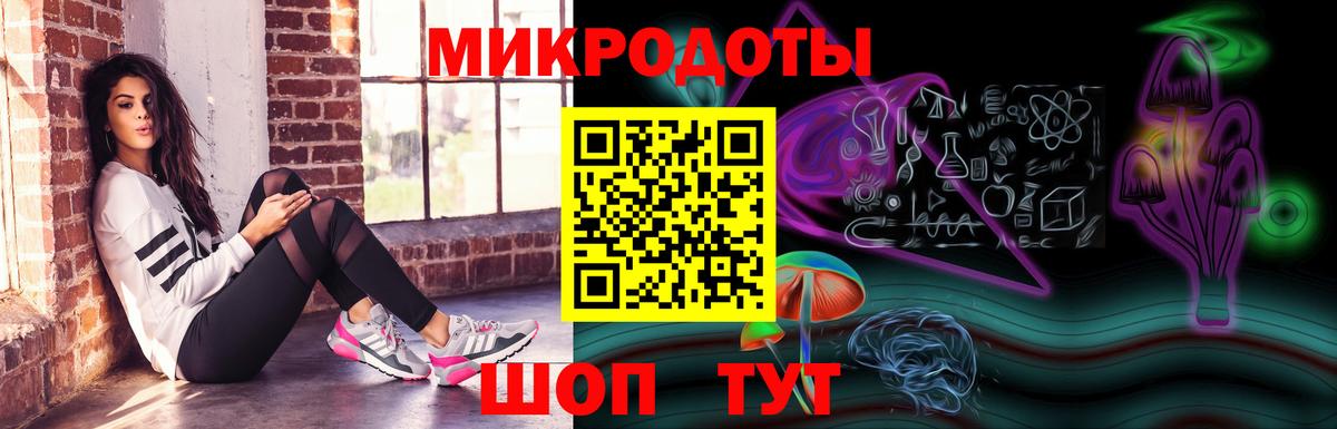 Псилоцибиновые грибы прущие грибы Старая Русса
